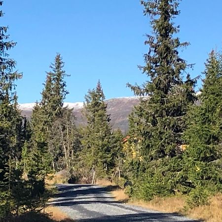 Sykkelhytte Ved Slatten I Synnfjellet Nord Torpa Dış mekan fotoğraf