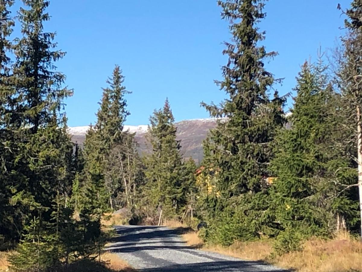 Sykkelhytte Ved Slatten I Synnfjellet Nord Torpa Dış mekan fotoğraf